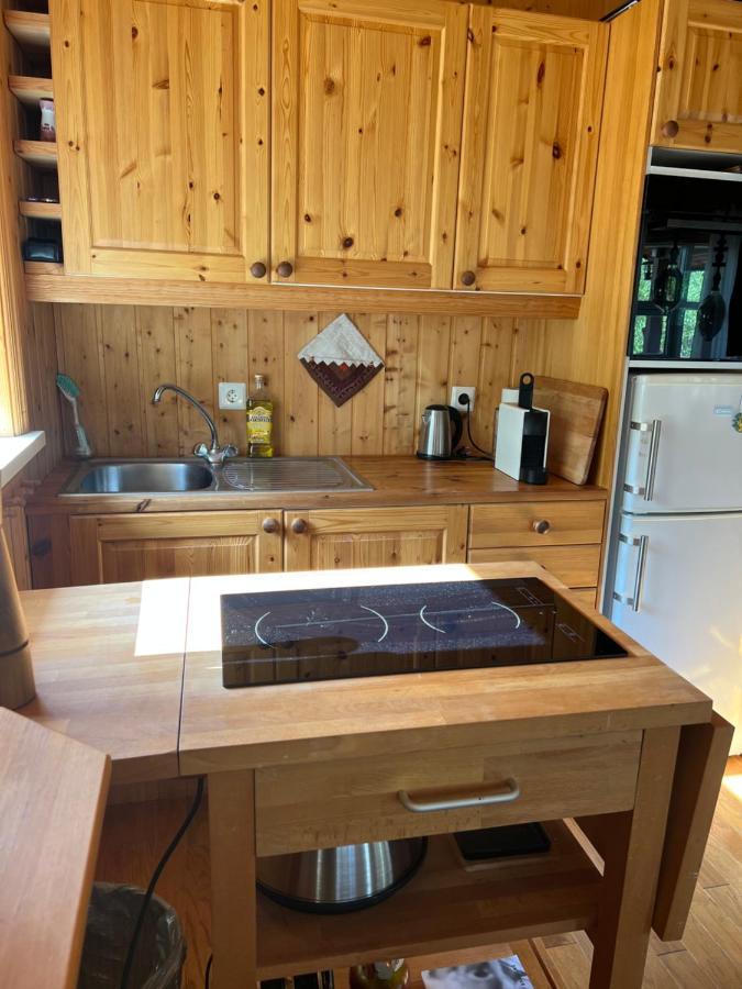 אקורירי Summerhouse Vaglaskogur מראה חיצוני תמונה